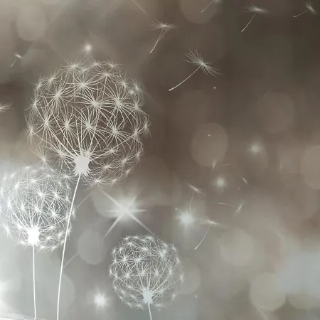 アパート Nido Delle Meraviglie